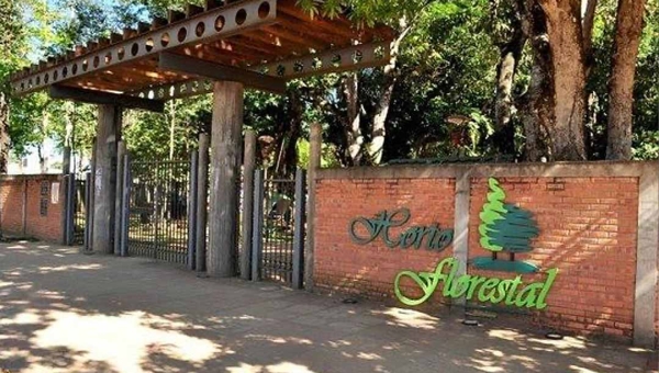 Mulher é vítima de tentativa de estupro no Horto Florestal; agressor atacou e tentou arrastá-la para uma área de mata