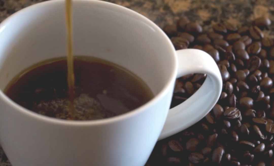 Produção de café cresce 7,7% no Acre em 2024, em relação ao ano anterior