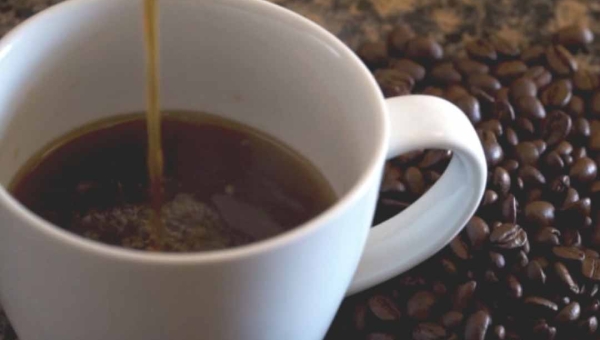 Produção de café cresce 7,7% no Acre em 2024, em relação ao ano anterior