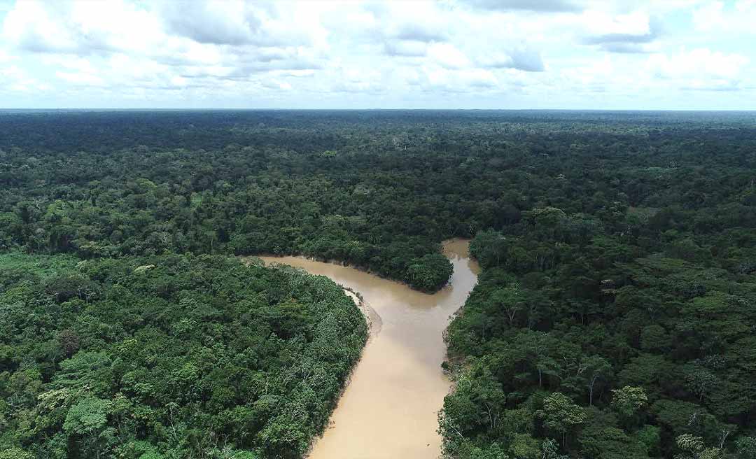Ibama no Acre embarga quase 30 mil hectares da Florestal Estadual do Rio Gregório para conter ‘invasão’ e coibir danos ambientais