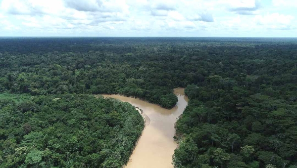 Ibama no Acre embarga quase 30 mil hectares da Florestal Estadual do Rio Gregório para conter ‘invasão’ e coibir danos ambientais