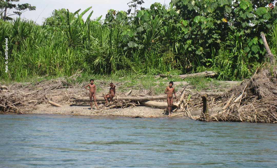 Atendendo ao STF, Funai restringe circulação de pessoas nas terras do povo Mashco, no Chandless