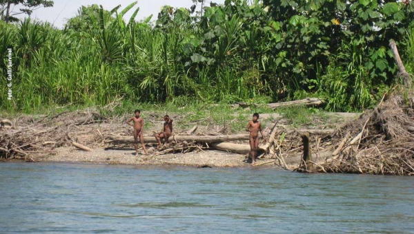 Atendendo ao STF, Funai restringe circulação de pessoas nas terras do povo Mashco, no Chandless