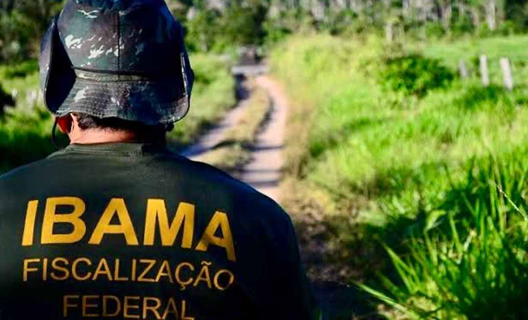 Com 66 vagas para o Acre e salário de R$ 11.381, Ibama anuncia concurso público
