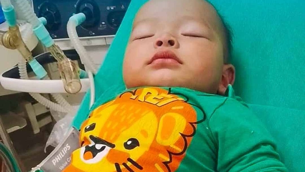 Família pede doação de sangue para o pequeno Henry; criança foi diagnosticada com pneumonia e dengue