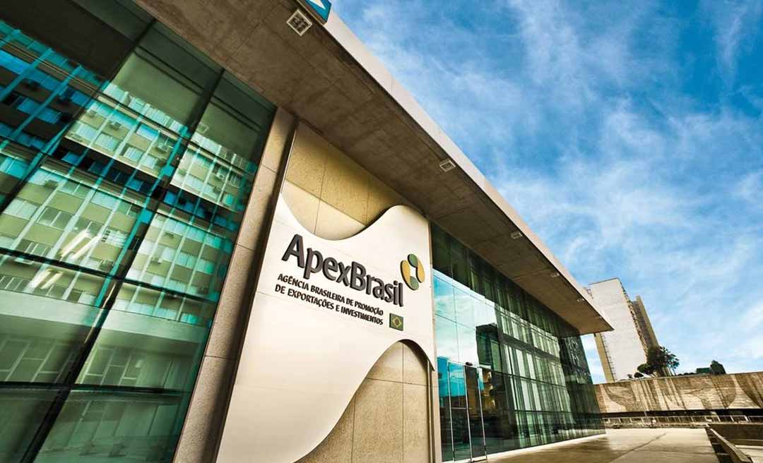 ApexBrasil apoia delegação recorde de empresas brasileiras para feira em Dubai