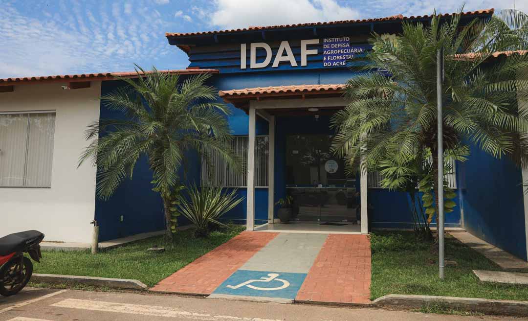 Idaf protesta e governo volta atrás; cargos de diretor técnico e chefes de departamentos serão ocupados por servidores efetivos