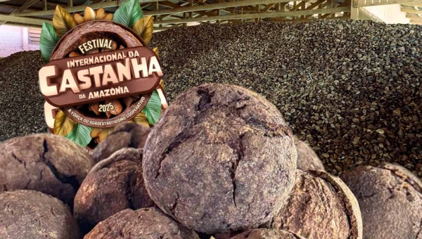Festival Internacional da Castanha da Amazônia inicia nesta sexta-feira em Epitaciolândia