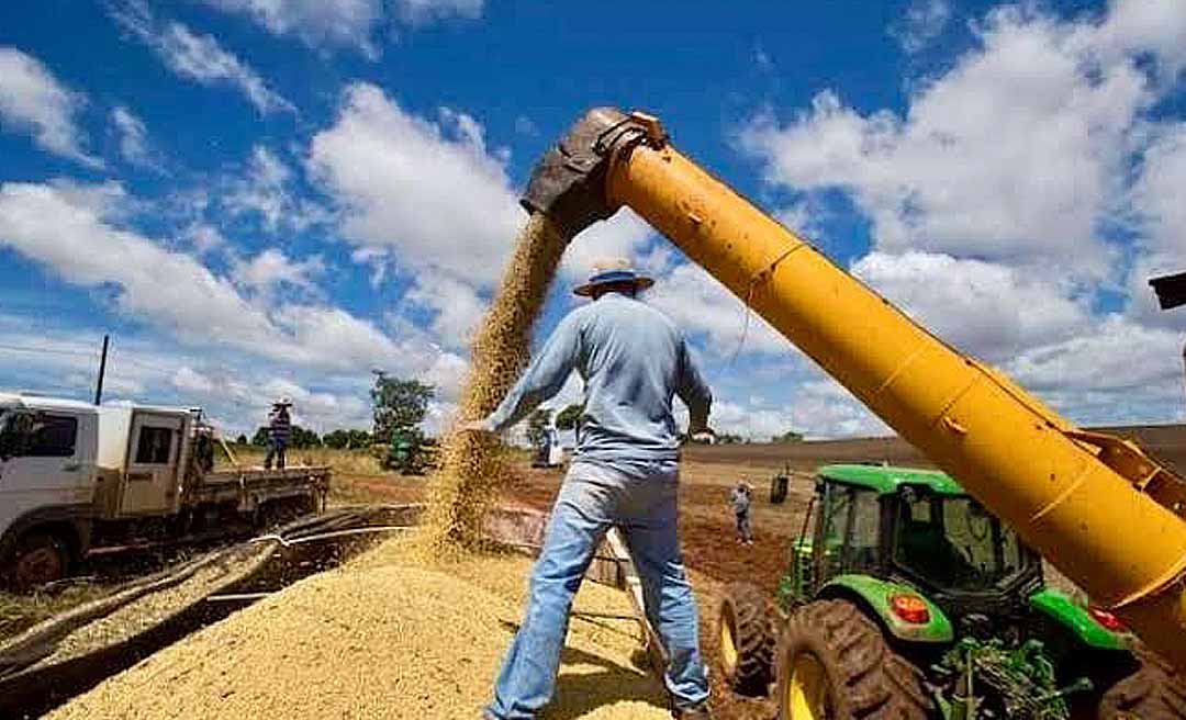 Tesouro Nacional suspende novas contratações de financiamentos do Plano Safra 2024/2025