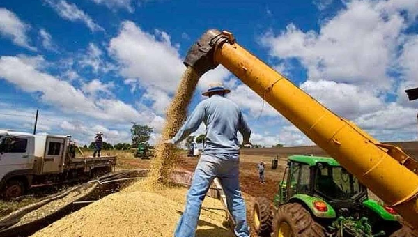 Tesouro Nacional suspende novas contratações de financiamentos do Plano Safra 2024/2025