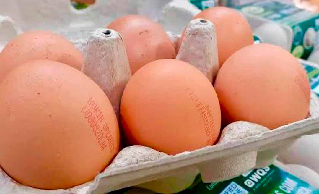 Prazo para carimbo em ovos a granel é adiado pelo Mapa; medida visa garantir segurança alimentar dos consumidores