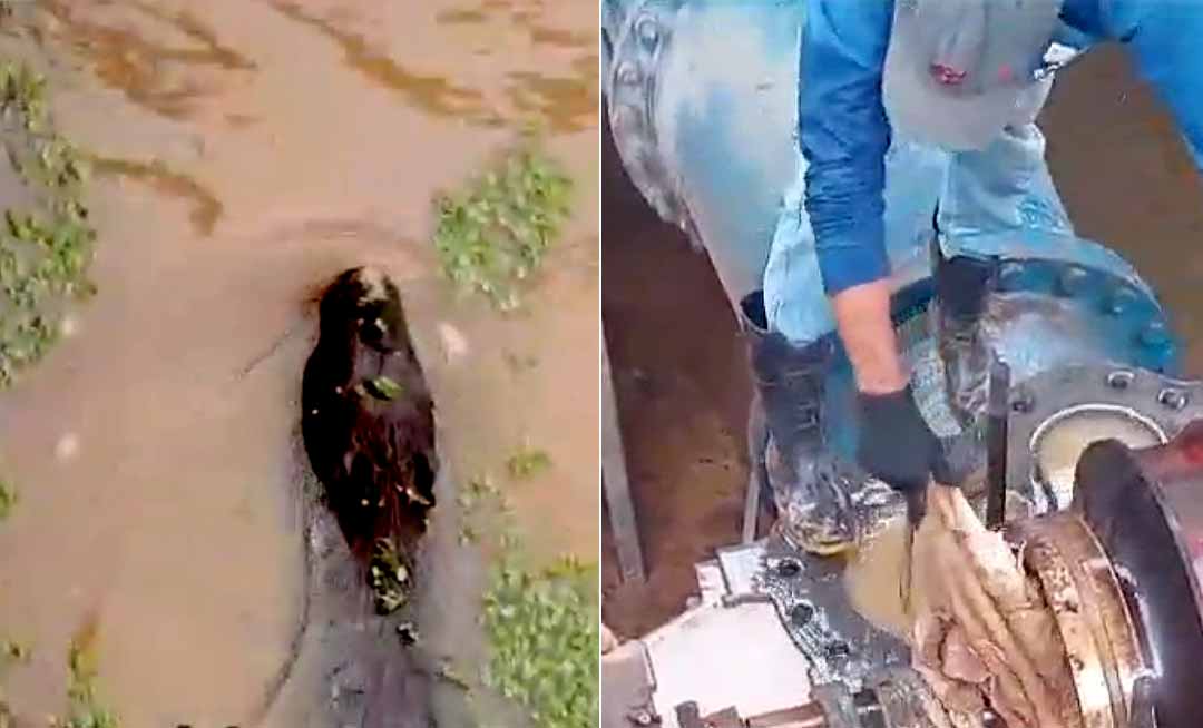 Vídeo mostra capivara em reservatório da ETA II e em seguida trabalhadores retirando de bomba o que seriam restos mortais do animal