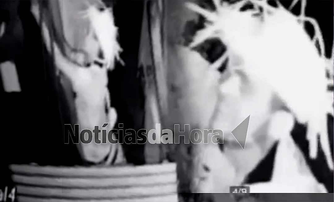 Ladrão com chapéu de festa junina escala muro no Aviário e com alicate corta fiação elétrica