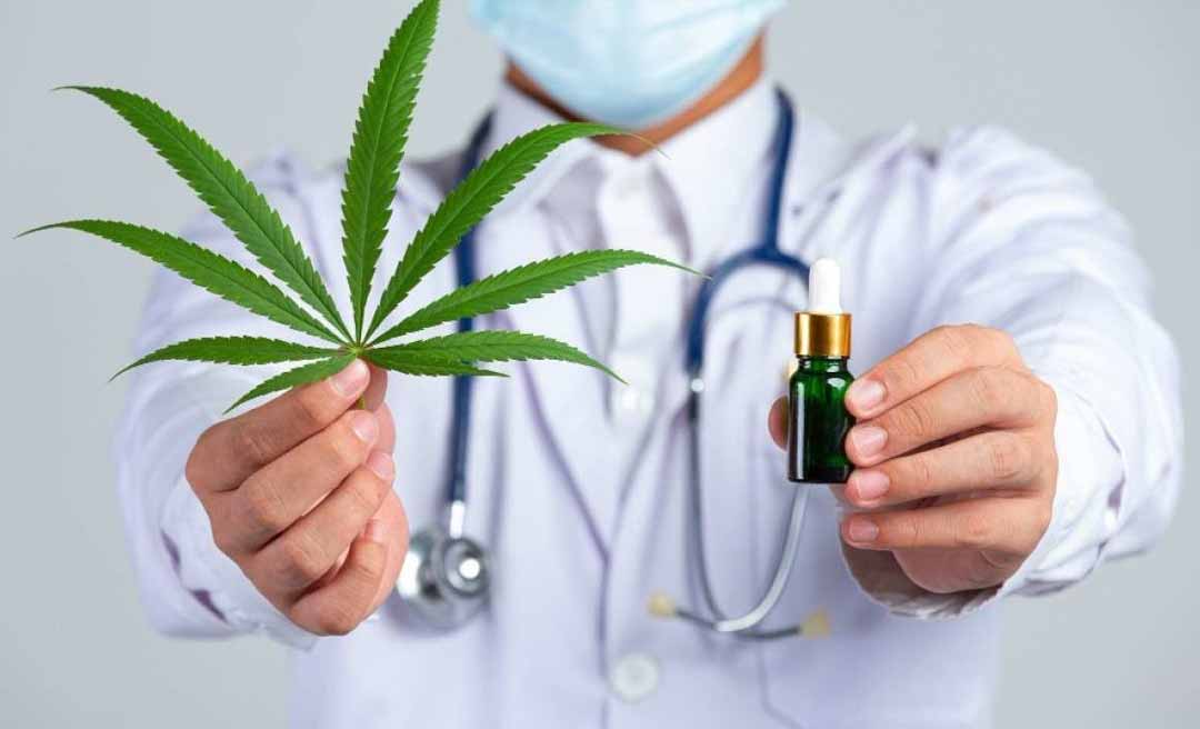 Anvisa abre consulta pública para flexibilizar regras sobre Cannabis medicinal no Brasil