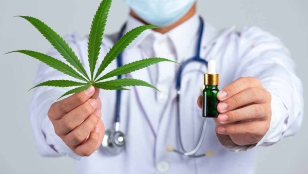 Anvisa abre consulta pública para flexibilizar regras sobre Cannabis medicinal no Brasil