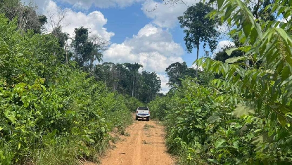 MPF recomenda que o processo de licenciamento do ramal Barbary seja refeito e inclua consulta prévia aos indígenas