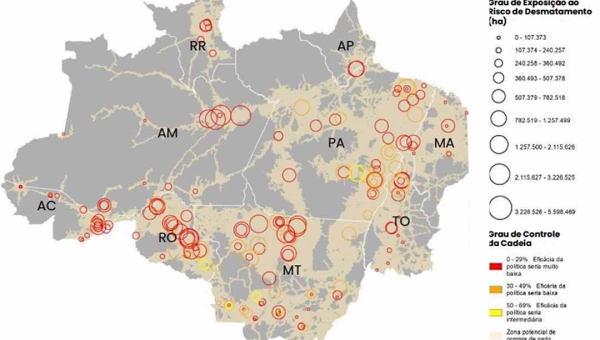 Frigoríficos do Acre obtêm nota zero com relação ao controle de fornecedores do boi para evitar o desmatamento