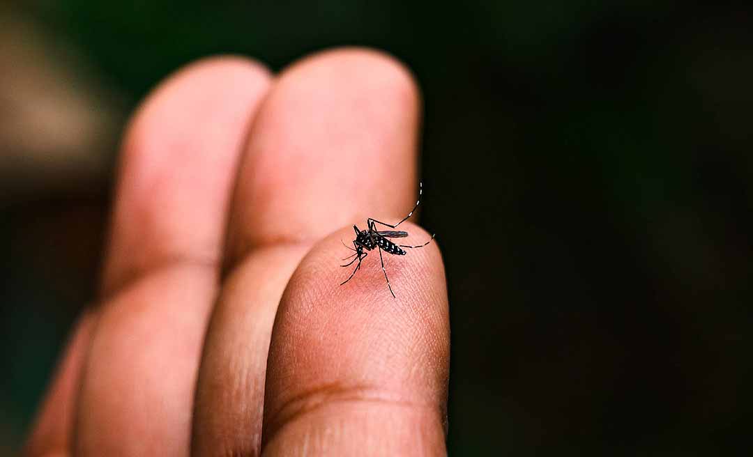 Com picos de contaminação em janeiro e fevereiro, dengue recua em março no Acre