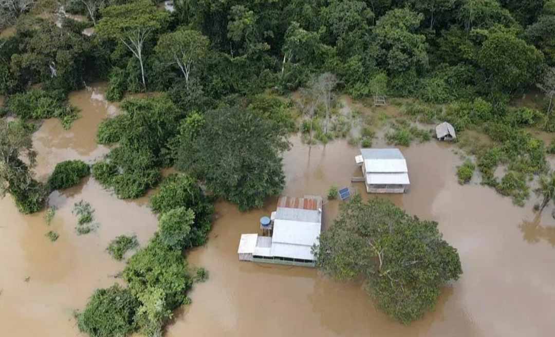 Defesa Civil de Feijó emite alerta sobre cheia do Rio Envira e já retira 10 famílias de áreas de risco