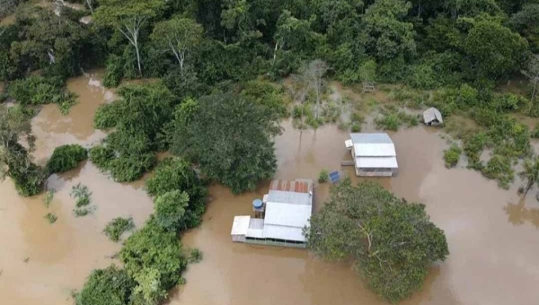 Defesa Civil de Feijó emite alerta sobre cheia do Rio Envira e já retira 10 famílias de áreas de risco
