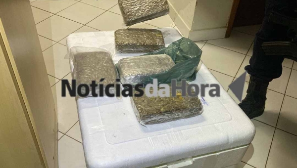 “Supermaconha”: PM apreende mais de R$ 75 mil em skunk escondido em ônibus na Rodoviária Internacional de Rio Branco