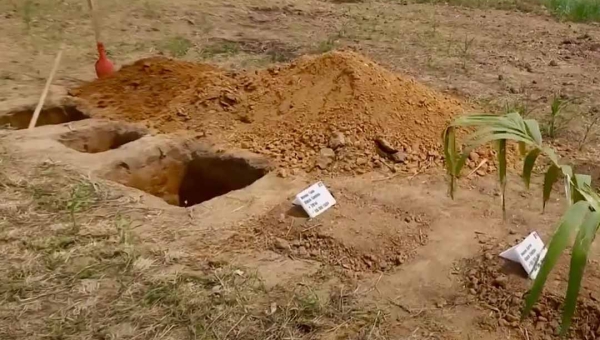 MPAC recomenda suspensão de novos sepultamentos no cemitério Jardim dos Animais, em Rio Branco