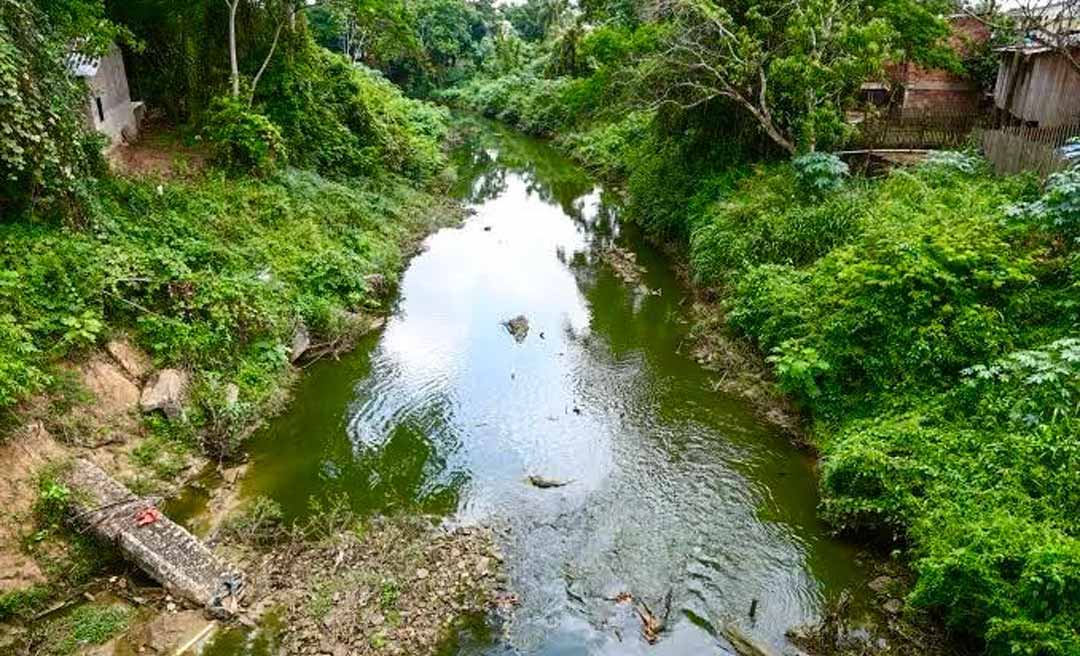 TCE-AC e UFAC firmam convênio de R$1 milhão para governança da bacia do igarapé São Francisco