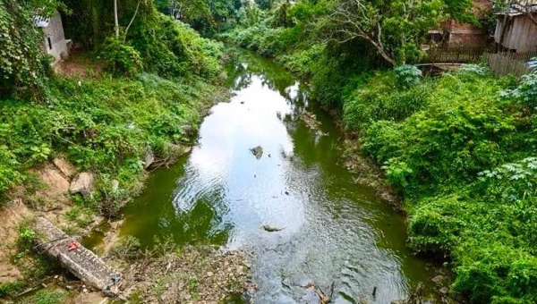 TCE-AC e UFAC firmam convênio de R$1 milhão para governança da bacia do igarapé São Francisco