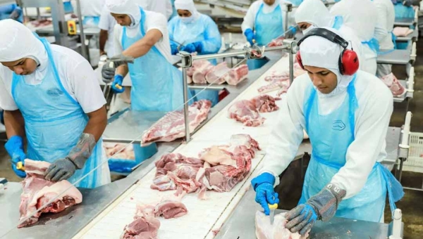 Acre comemora anúncio de novos investimentos na cadeia de proteína animal