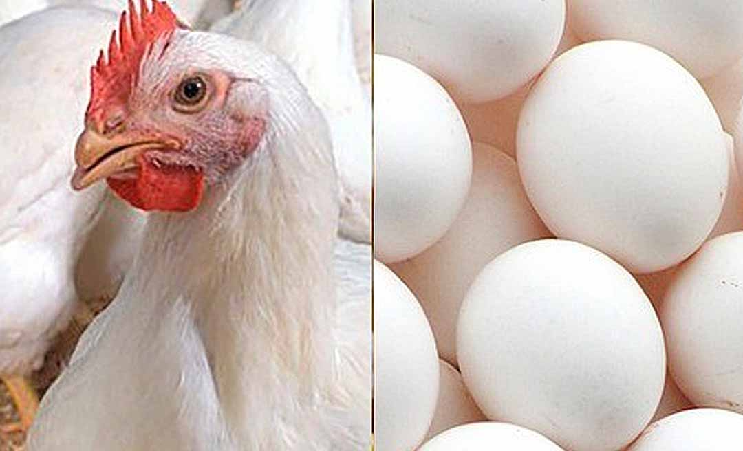 Puxada pela alta dos preços do frango e dos ovos, inflação em Rio Branco registra aumento de 0,27% em março