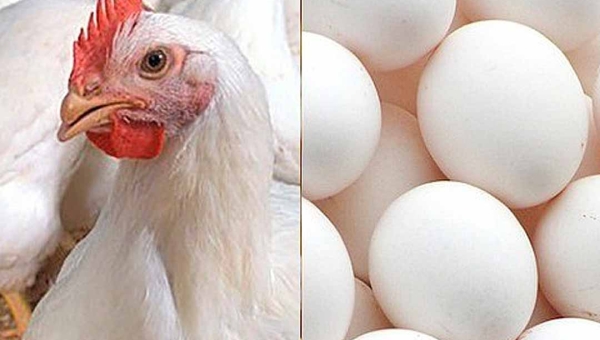 Puxada pela alta dos preços do frango e dos ovos, inflação em Rio Branco registra aumento de 0,27% em março