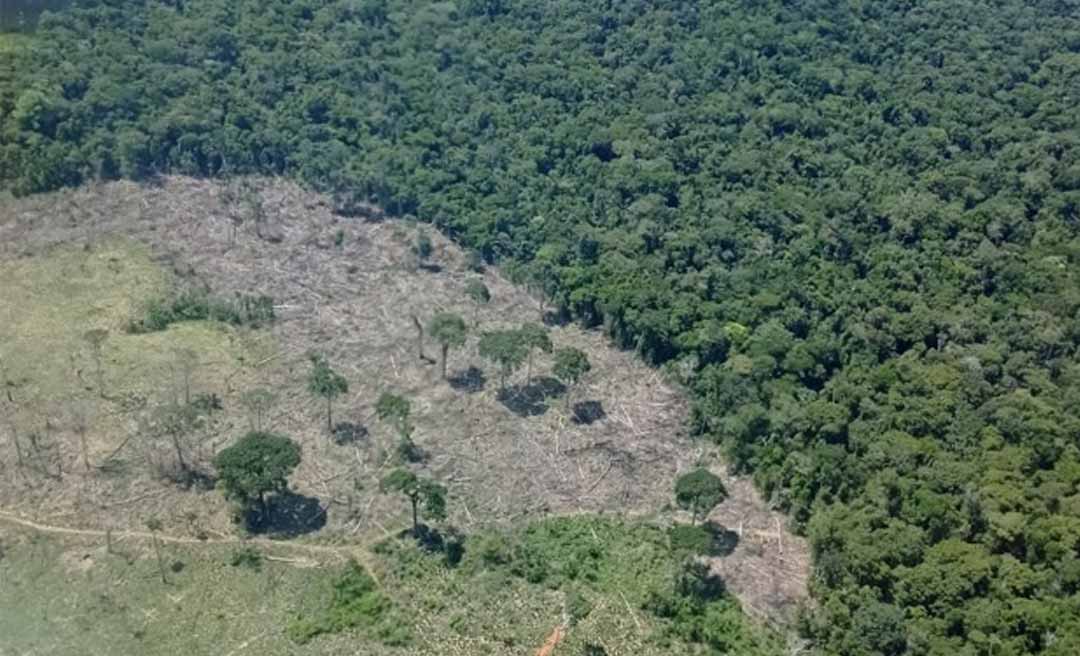 Estudo mostra que o Acre tem quase 52 mil hectares de capoeira sob alta pressão da agricultura