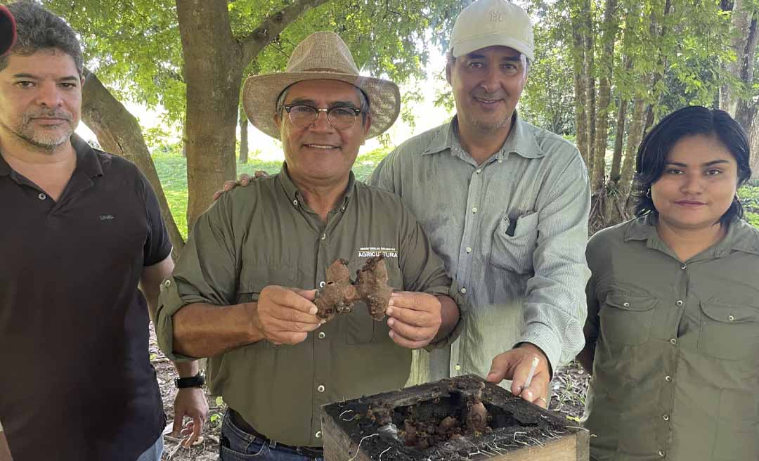 Produção de mel ganha apoio do governo do Acre com a entrega de equipamentos a produtores do Alto Acre