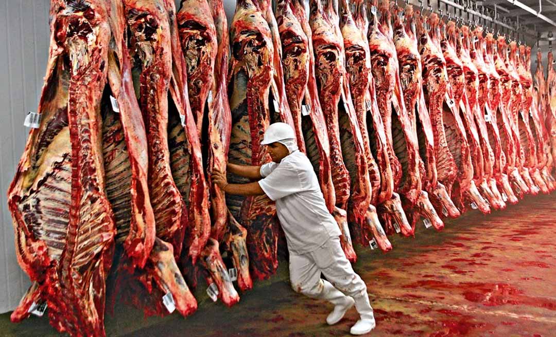 Abate de bovinos cai nos últimos três meses de 2024 no Acre, revela pesquisa