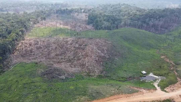 Dos 22 processos por desmatamento ilegal no Acre, apenas 10 foram sentenciados