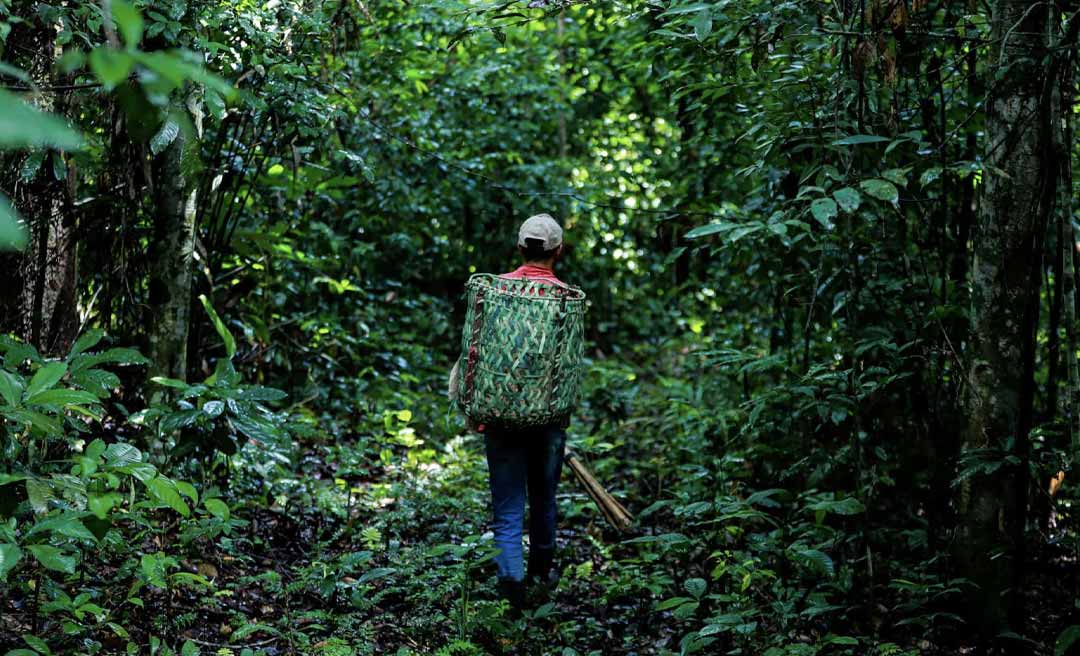 Após polêmica envolvendo projetos de carbono no Acre, órgãos recomendam que comunidades tradicionais sejam ouvidas antes