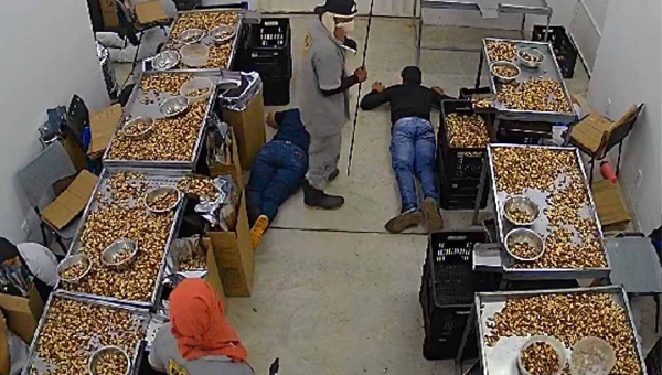 Dois suspeitos por render e assaltar funcionários de fábrica de castanhas e temperos são presos