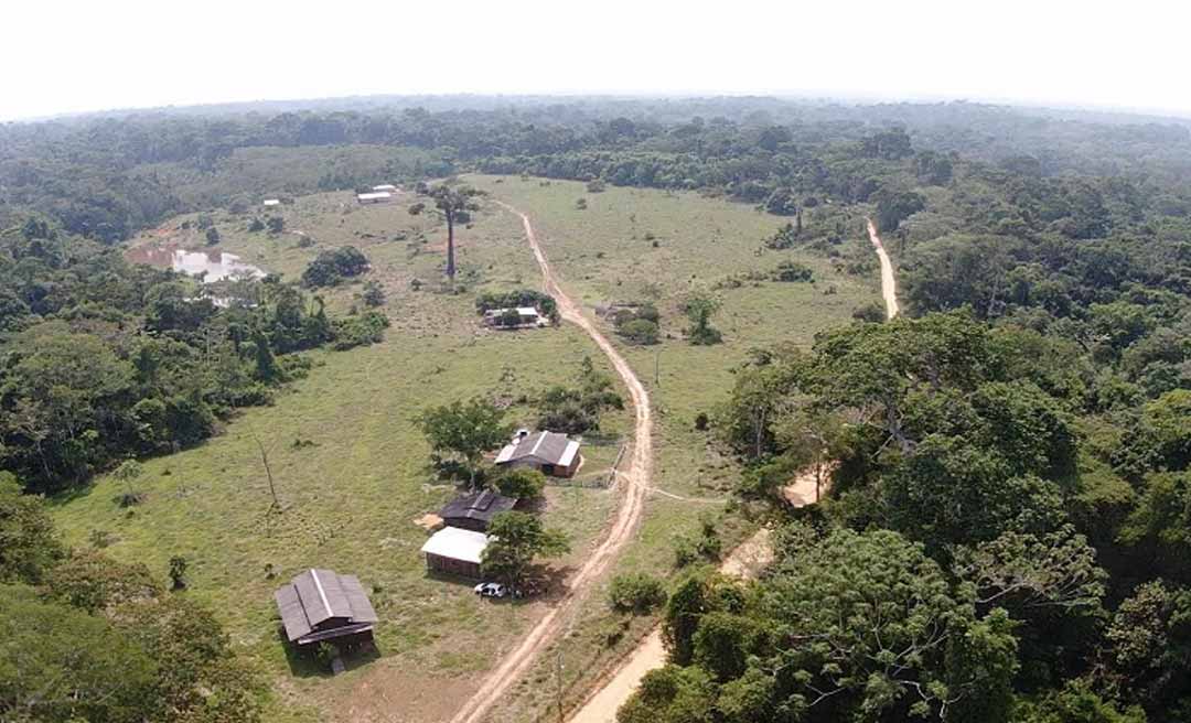 Ação do MPF pede que ICMBio use georreferenciamento para delimitar áreas na Reserva Extrativista Chico Mendes