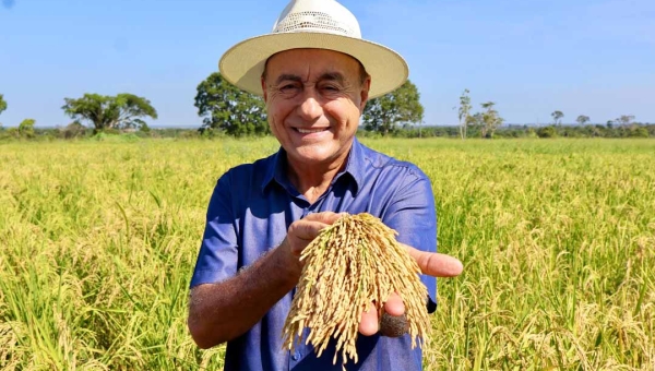 Bocalom visita campo experimental de sementes de arroz e destaca avanço da agricultura familiar: “Começamos a colher os frutos desse trabalho!”
