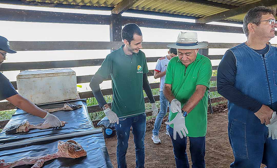 Prefeitura de Rio Branco e UFAC oferecem curso de inseminação artificial em gado leiteiro