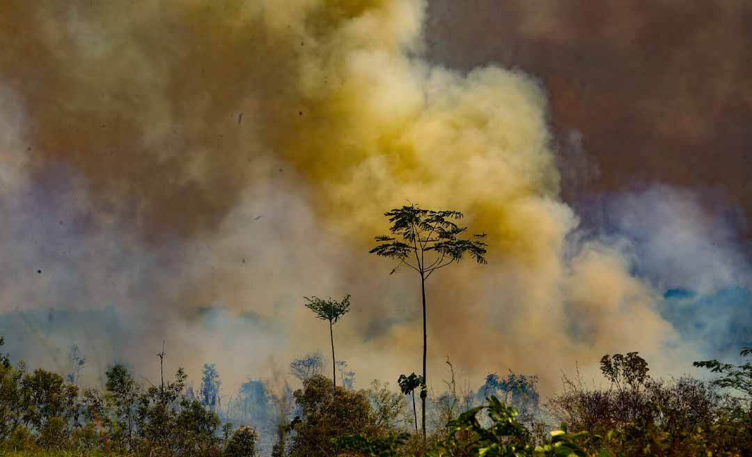 Em um ano, Acre registrou quase 9 mil focos de incêndios; maioria está em pequenas propriedades