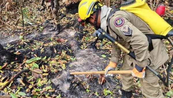Se adiantando às queimadas no Acre, Ibama autoriza contratação temporária de brigadistas