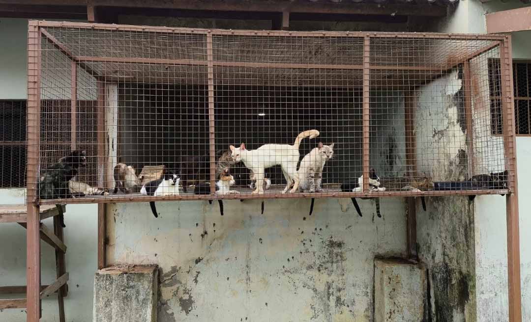 MPAC ajuíza ação para reestruturar Centro de Controle de Zoonoses de Rio Branco
