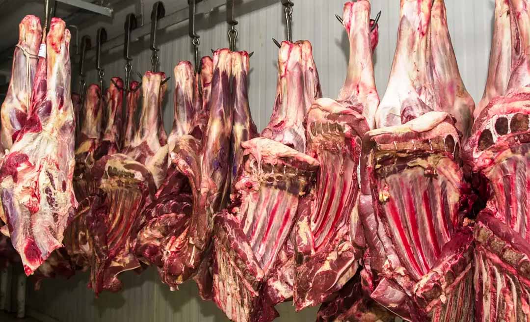 Maioria dos frigoríficos do Acre apresenta irregularidades; apenas duas empresas realizam auditoria solicitada pelo MPF