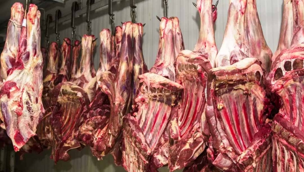 Maioria dos frigoríficos do Acre apresenta irregularidades; apenas duas empresas realizam auditoria solicitada pelo MPF