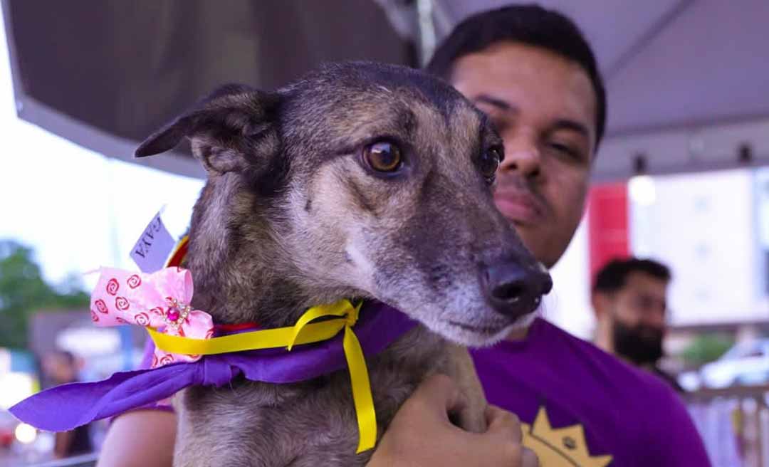 Cuidar Day: segunda edição de feira de adoção de animais acontece neste sábado, no Lago do Amor