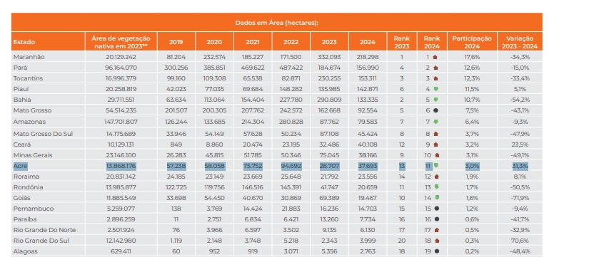 WhatsApp Image 2025 05 15 at 12.29.48