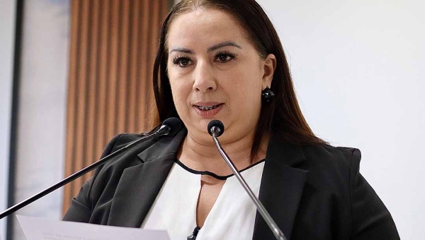 Vereadora Elzinha Mendonça propõe programa de arborização urbana em Rio Branco com incentivos fiscais e viveiro municipal de mudas