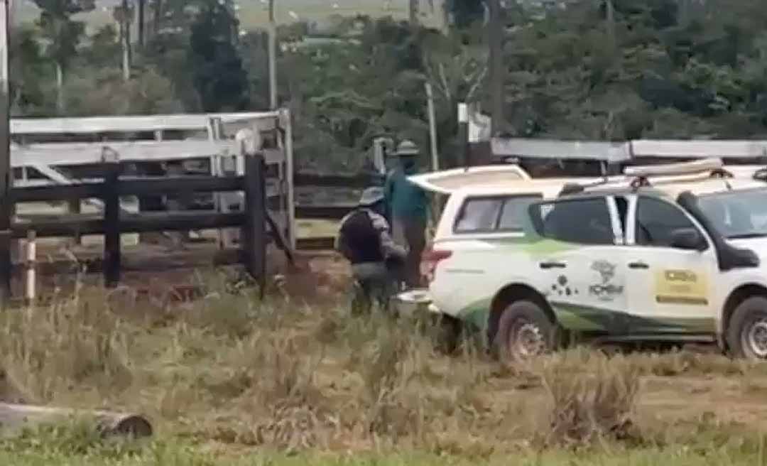 Agentes do ICMBio derrubam curral durante Operação Suçuarana: “Estão acabando com tudo que meu pai construiu, com suor do seu rosto", diz moradora