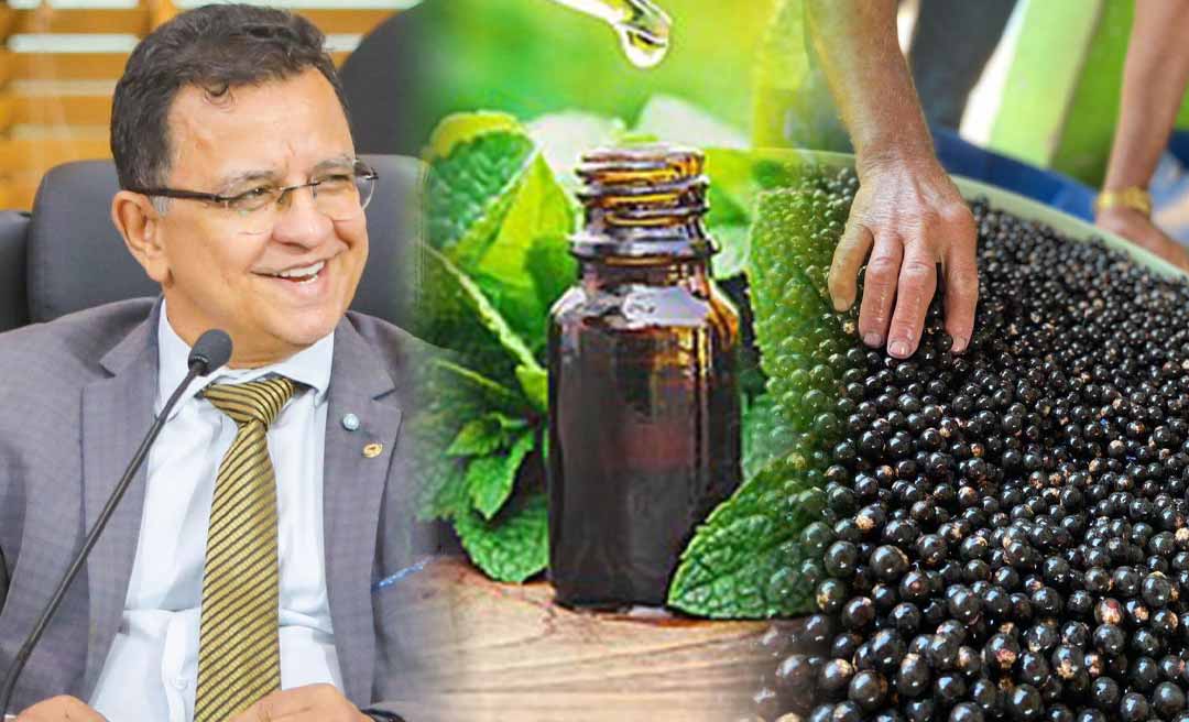 Aleac aprova PLs de Gonzaga que institui o Programa de Farmácias Vivas e torna Feijó a "Capital do Açaí"